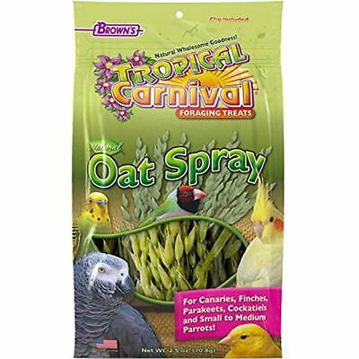 F.M. Brown&39S Tropical Carnival Natural Oat Spray Foraging Treat Canaries, And