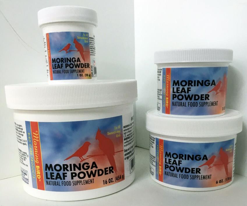 Morning Bird Moringa Leaf Powder for Birds