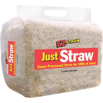 EZ Straw Just Straw  - 1 Each