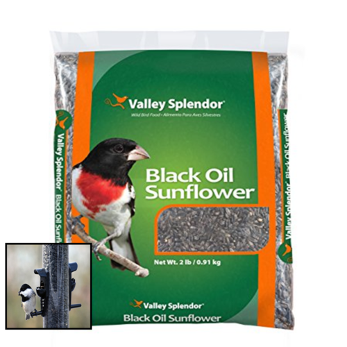 Black Oil Sunflower Seeds 2 Lbs BLACK Lbs FREE SHIPPING Outdoor Living