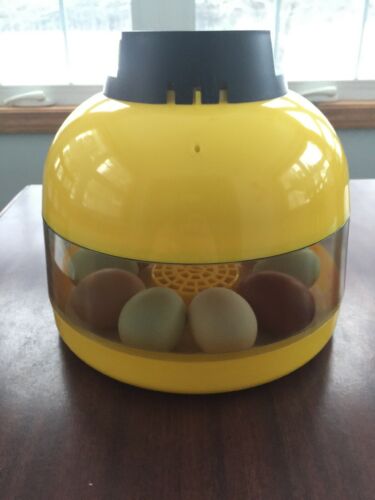 10 Chicken Eggs Portable Mini Incubator LED Digital Incubator Poultry Hatcher