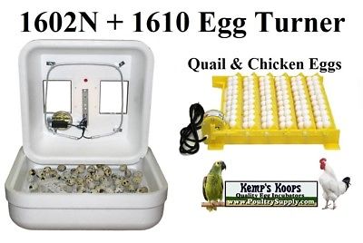 Hovabator 1602 Hatching Egg Incubator w/ 1610 Egg Turner for Quail and Chicken