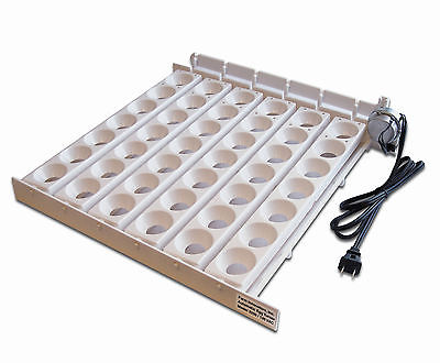 FARM INNOVATORS 3200 CHICKEN POULTRY 42 LARGE EGG INCUBATOR AUTOMATIC TURNER