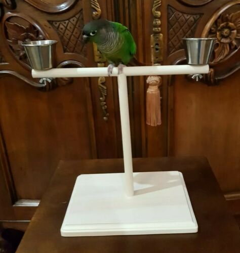 Parrot Perch Stand Conure, Cockatiel, Parakeet T- Stand Perch Food & Water Dish