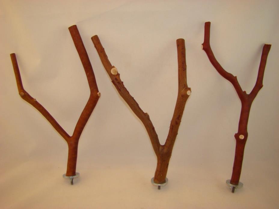 Manzanita Bird Perches 3 Pack Multibranch  w/ Hardware  Peely and Smooth Bark