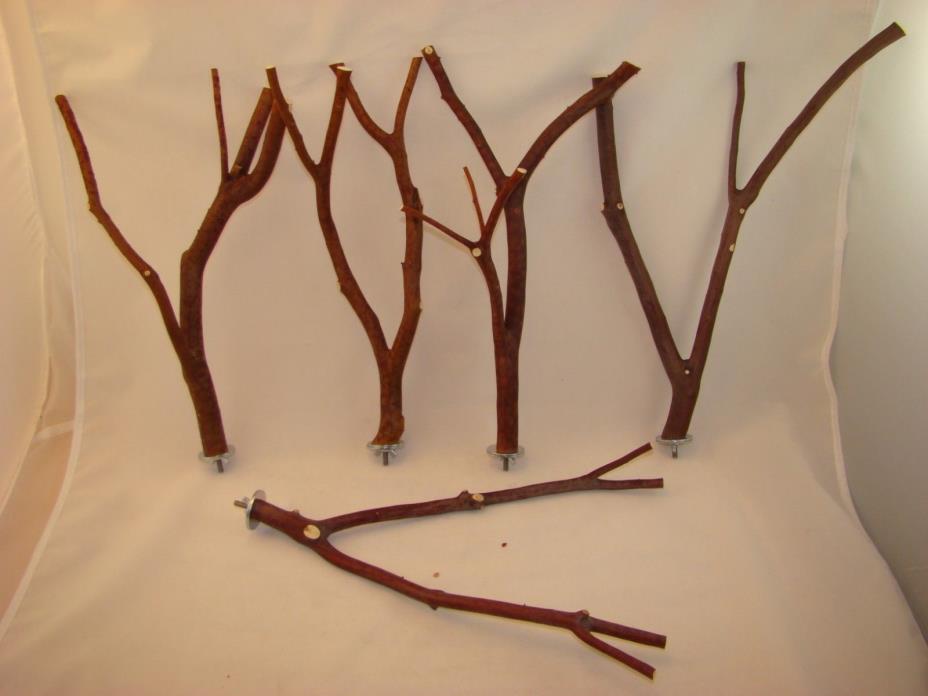 Manzanita Bird Perches Multibranch Set of  FIVE  w/ Hardware  Peely Bark