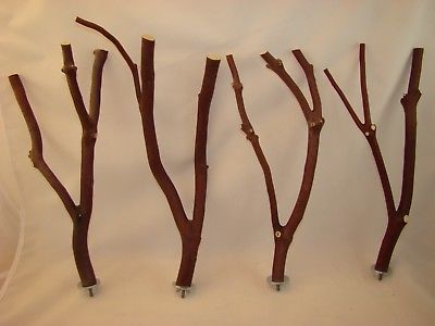 Manzanita Bird Perches Set of Four  Multibranch with Hardware  * Happy Birds *