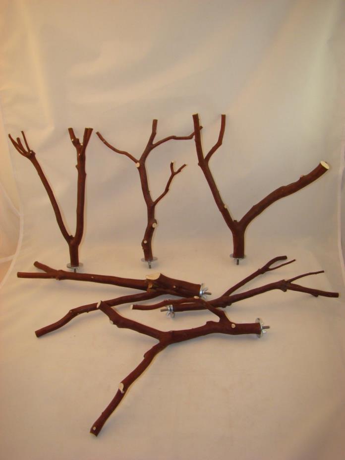 Manzanita Bird Perches Multibranch Set of  SIX  w/ Hardware  NICE SET