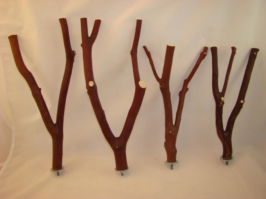 Manzanita Bird Perches Multibranch Set of Four  w/ Hardware  Highest Quality