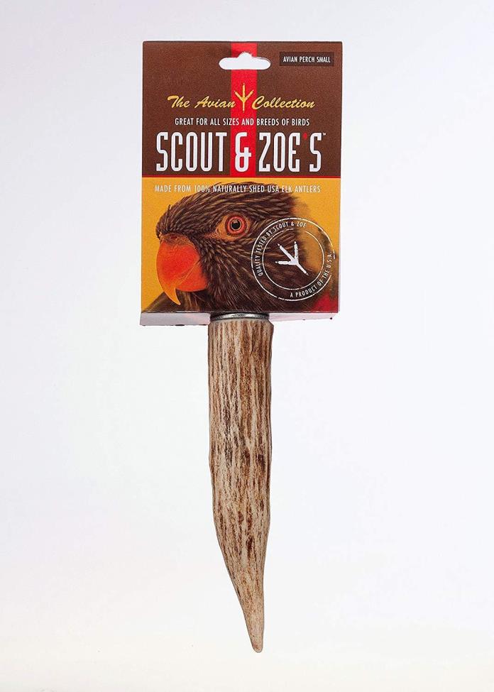 Scout & Zoe's Avian Perch Small, keeps beaks smooth, NEW
