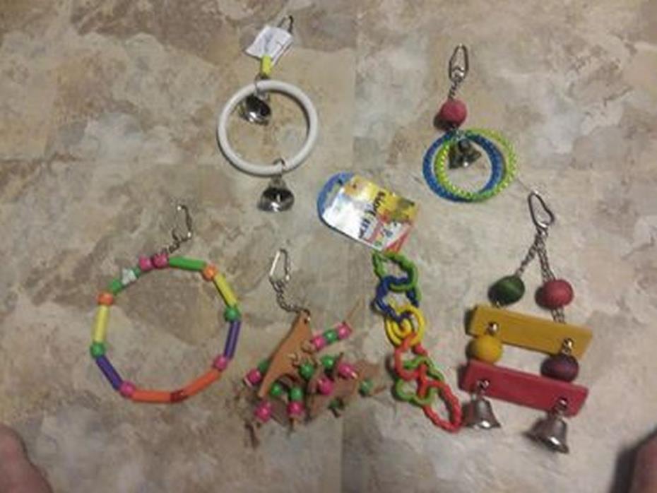 6 Bird Toys small/to med. Assortment, Perfect for  Mart Vendors, Quakers, Conure