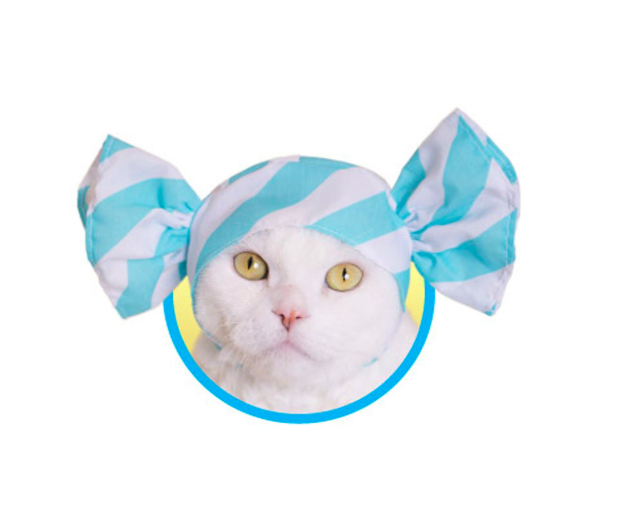 JapaKatsu KITAN CLUB hat for cat gachapon CANDY WRAPPER cat hat - BLUE STRIPES
