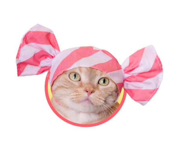 JapaKatsu KITAN CLUB hat for cat gachapon CANDY WRAPPER cat hat - PINK STRIPES