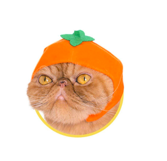 JapaKatsu KITAN CLUB hat for cat gachapon FRUITS cat hat - PERSIMMON