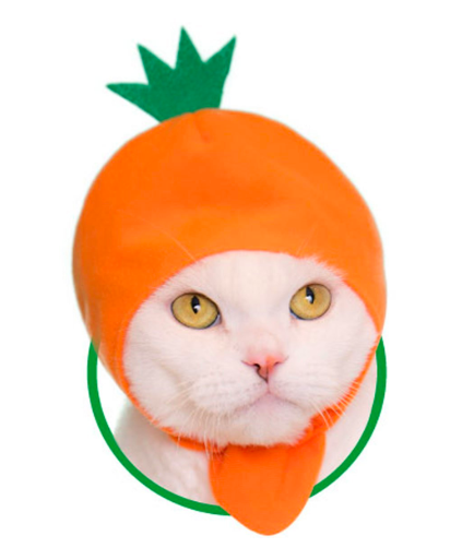JapaKatsu KITAN CLUB hat for cat gachapon VEGETABLES cat hat - CARROT