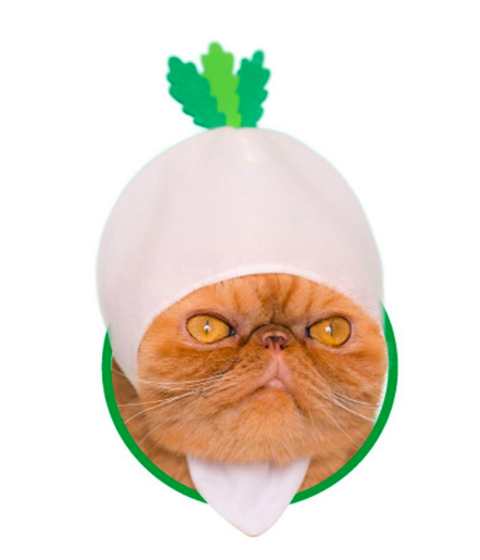 JapaKatsu KITAN CLUB hat for cat gachapon VEGETABLES cat hat - RADISH