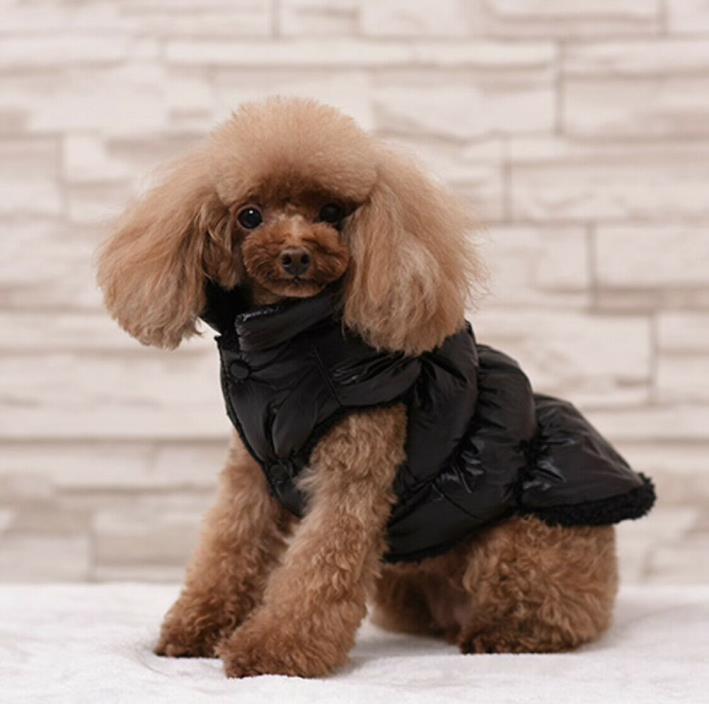 Winter Pet Dog Clothes Puppy Warm Padded Coat Vest Waterproof Jacket