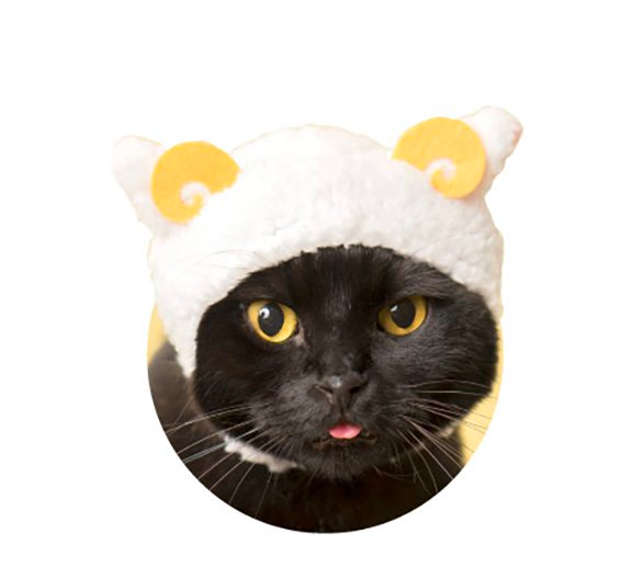 JapaKatsu KITAN CLUB hat for cat gachapon SHEEP cat hat - WHITE SHEEP