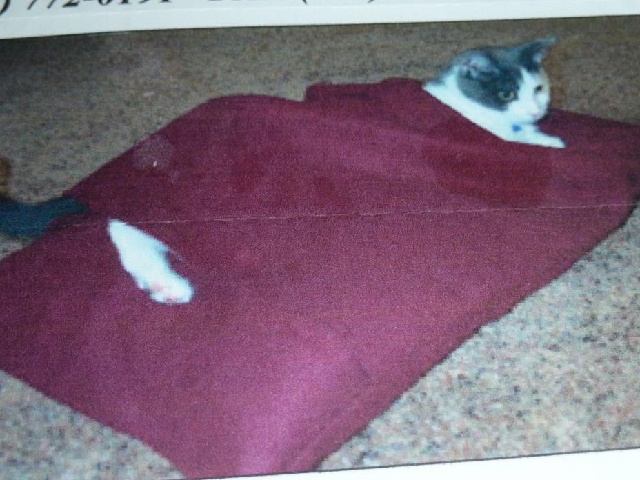 Pet Burrow Snuggle Blanket for Cats Feline Small Dogs