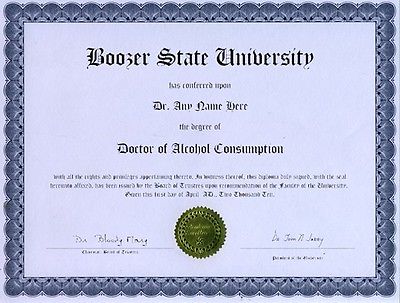 Doctor White Persian Cat Behavior Novelty Diploma Kitty