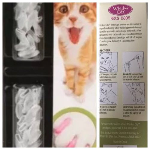 ????Whisker City Kitty Caps 40 Nails 2 Tubes 2 Appl Clear {XS Under 5lbs}  ????