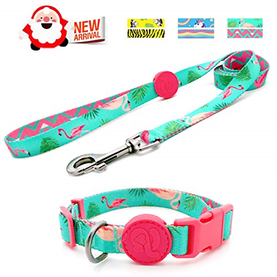 azuza Dog Collar and Leash Set, Pattern Printing,Adjustable Nylon Collar with M