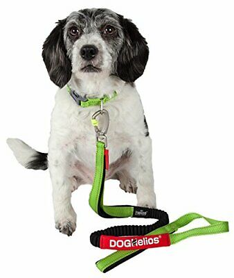 DOGHELIOS 'Neo-Indestructible Dog Leash and Collar, Small, Green