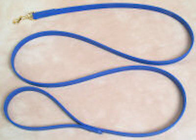 4' Beta Dog Leash, 1/2