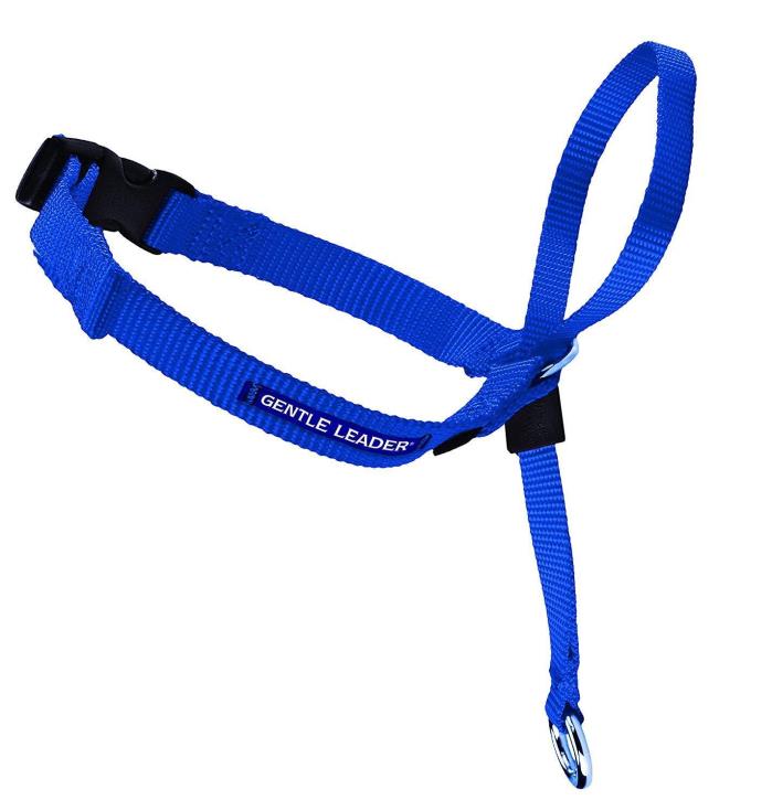 PetSafe Gentle Leader Head Collar with Training DVD, Medium, Royal Blue