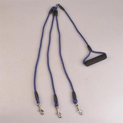 3 Heads In 1 Outdoor Walking Pet Dogs Leash Puppy