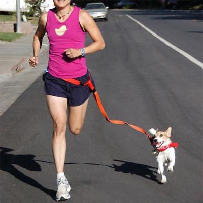 New waist pet dog leash running jogging puppy dog