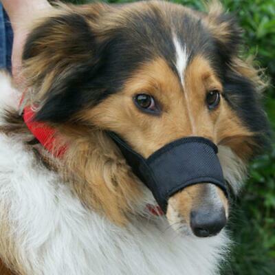 Adjustable Nylon Pet Dog Puppy Safety Muzzle Mouth for Stopping Biting /Barking