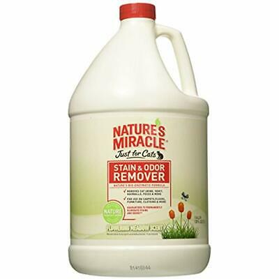 Nature's Miracle Just For Cats Stain And Odor Remover, Flower Meadow, 1Gal Pet