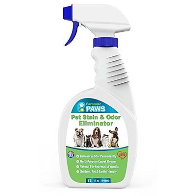 Pet Odor & Stain Removers - Professional Strength Triple Action Enzyme Spray Dog