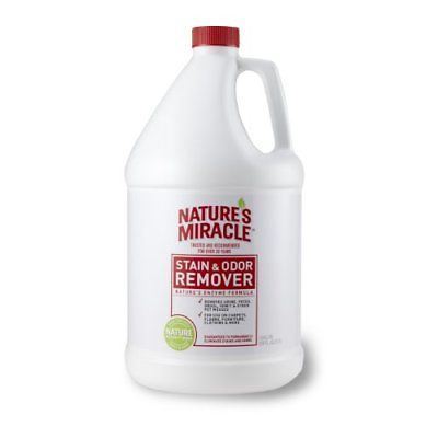 Nature's Miracle Stain & Odor Remover Gallon 512504