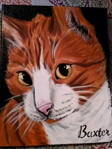 Your Own Handpainted Pet Portrait For Dog-Cat-Pet Lovers! Perfect Gift/Sympathy
