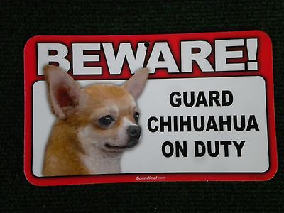 Beware Guard Chihuahua on Duty sign, security, warning, beware of dog #825