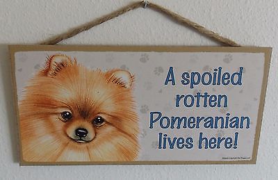 A SPOILED ROTTEN POMERANIAN LIVES HERE!  5