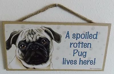 A SPOILED ROTTEN PUG LIVES HERE!  5