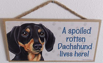 A SPOILED ROTTEN DACHSHUND LIVES HERE!  5