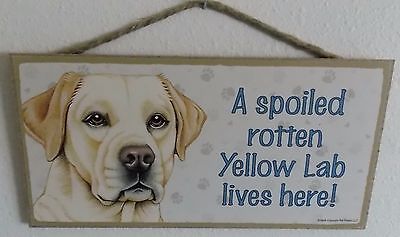 A SPOILED ROTTEN YELLOW LAB LIVES HERE!  5