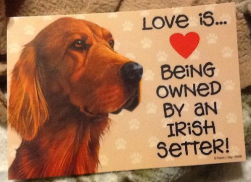 Irish Setter Love Laminated Picture Sign / magnet