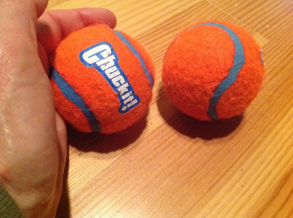 Chuckit! 2 Tough Original Orange Tennis Balls Dogs Proceed Feed Rescue Horses