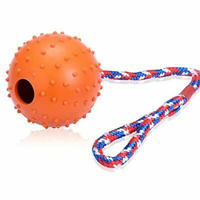 Ball For Dogs 