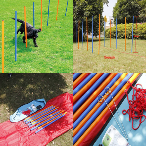 Pet Dogs Outdoor Games Agility Exercise Training Equipment Starter Kit W 12 Weav