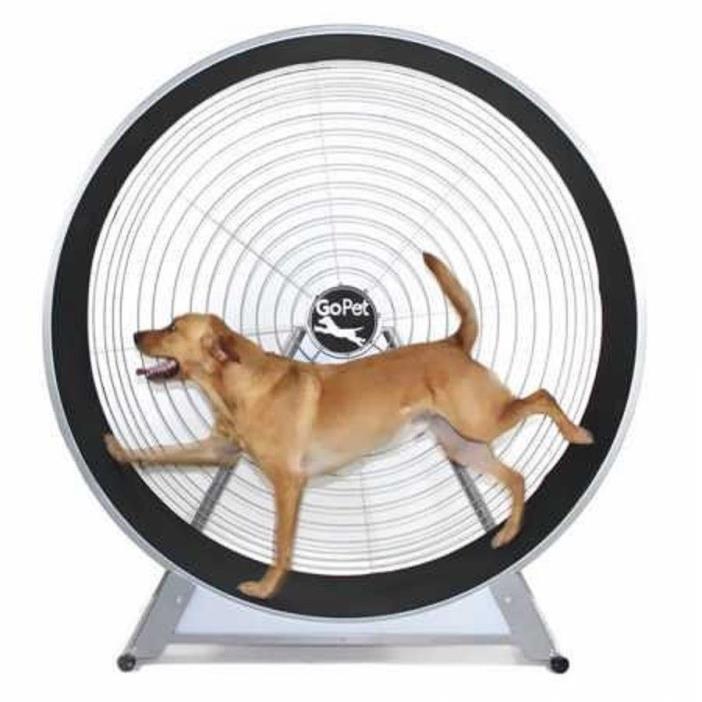 Gopet Treadwheel for large dogs