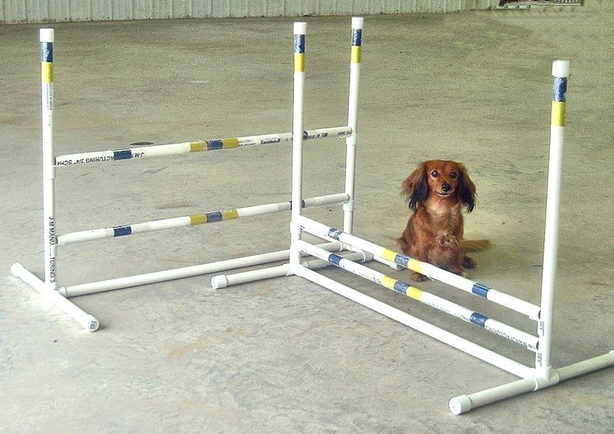 dog agility equipment jumps for small dogs - 2 jump set