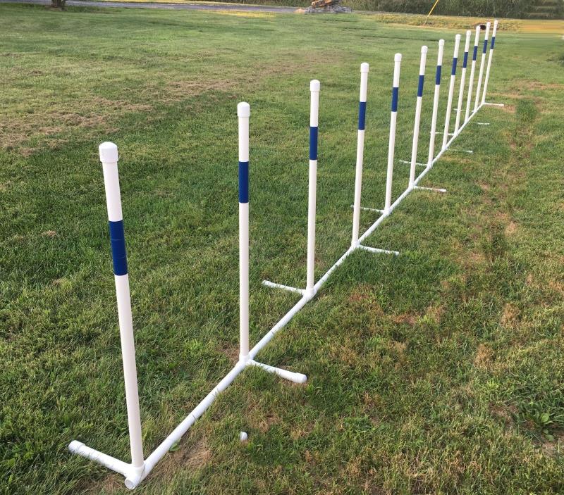 dog agility equipment weave poles - 12 poles, 3/4