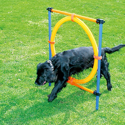 PAWISE Pet Dogs Outdoor Games Agility Exercise Training Equipment Jumping Ring