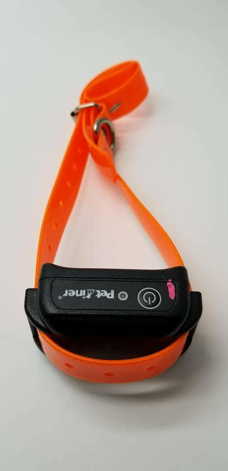 Petainer PET998DR Rechargeable Pet Dog Training Collar NO Remote